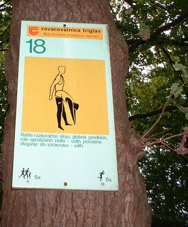 An Slovenian exercise poster stuck to a tree